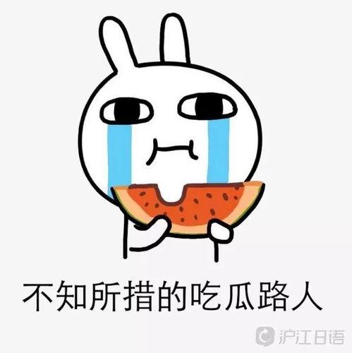 娱乐吃瓜防失联,轻松防失联，畅享娱乐圈精彩瞬间